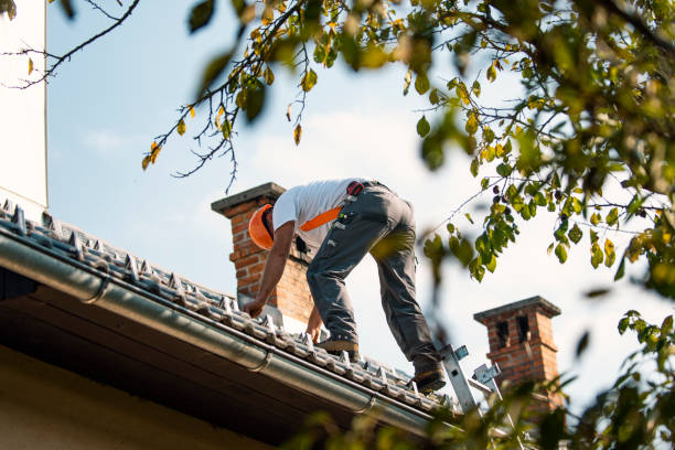 Professional Roofing Contractor in La Fayette, AL