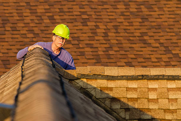 Best Roof Leak Repair  in La Fayette, AL