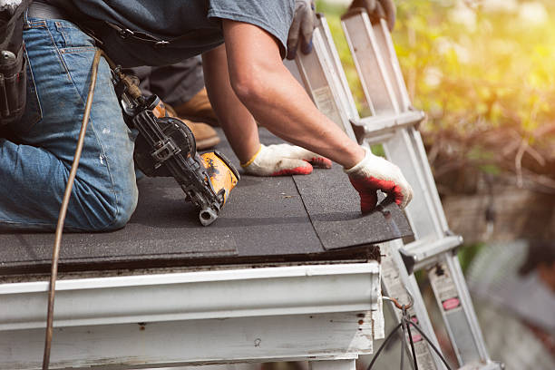 Best Gutter Installation and Roofing  in La Fayette, AL