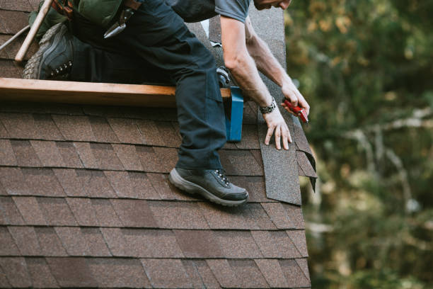 Best Roof Gutter Cleaning  in La Fayette, AL
